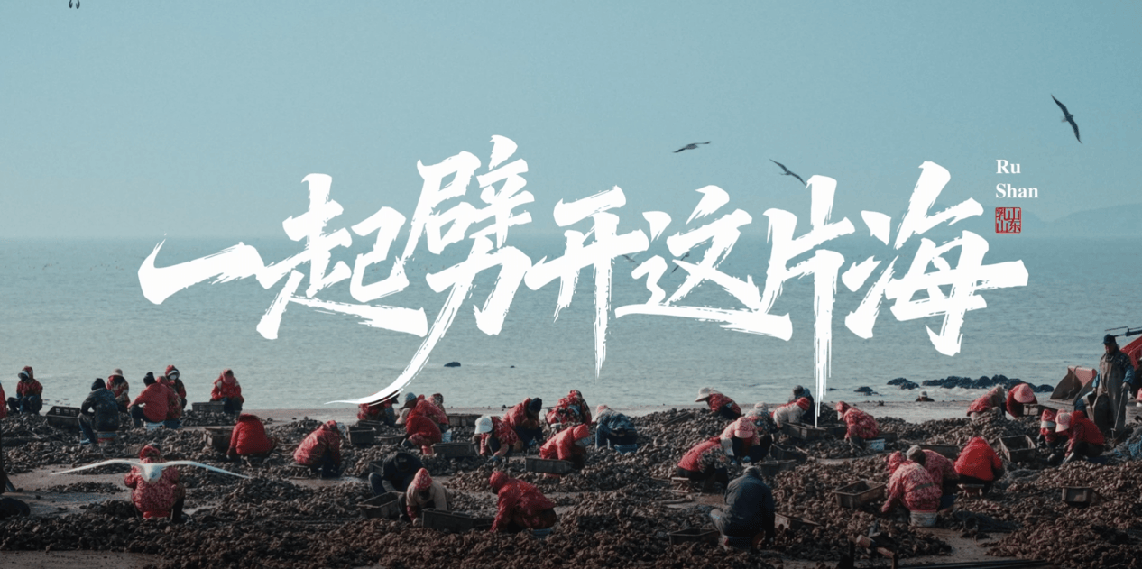 一起劈开这片海：度小满见证乳山百亿牡蛎产业的女性微光  第1张